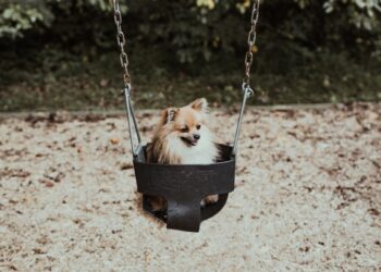 Welche lustigen Fakten kennen Sie?