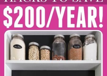 5 budgetfreundliche Organisation Hacks, die die Haushaltskosten um 200 USD professional Jahr senken