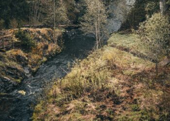 Flusskreuzung von Brazzaville nach Kinshasa – Wie man vermeidet, betrogen zu werden