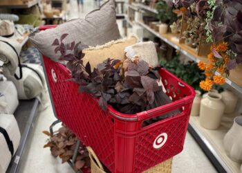 Neue Herbst -Wohnkultur vom Ziel