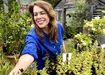 Vier lustige Dinge | Tasse Jo