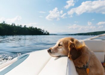 Ich wünsche Ihnen ein schönes Wochenende. | Tasse Jo