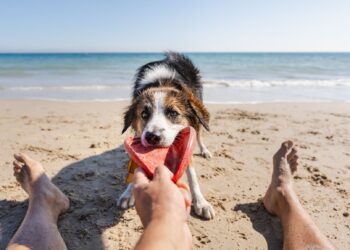 Ich wünsche Ihnen ein schönes Wochenende. | Tasse Jo