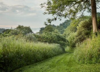Besuchen Sie jemals Gärten?