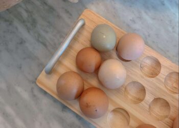 Was ich an einem Tag und in der Fleischschüssel esse, über die ich immer wieder spreche