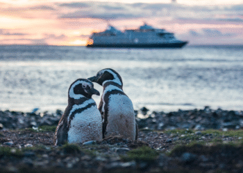 Der Aufstieg der Kühlkation