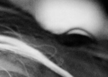 Fach dich um deine Spur? Nein, danke – Frauen in Übergröße bauen ihre eigenen Autobahnen