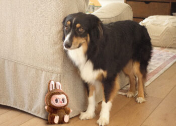 Sonntags mit Tabs The Cat, Make -up und Magnificence Weblog Maskott, Vol. 873