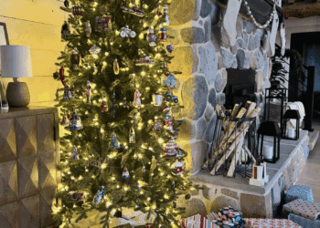 Die besten Weihnachtsbäume on-line kaufen