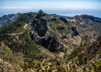 Tagesausflug von Teneriffa nach La Gomera: Inselhüpfen zur Whistling Isle