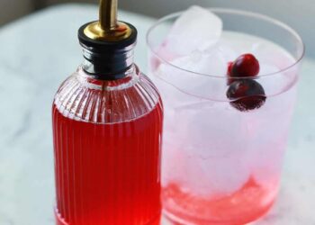 Cranberry-Sirup – eine schöne Sauerei