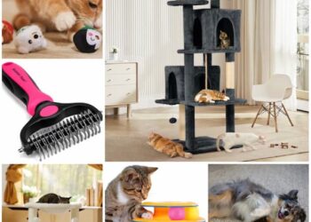 RIESIGER Chewy-Sale: Kaufen Sie 3, erhalten Sie den 4. free of charge auf Spielzeug, Leckereien und mehr!