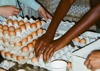 Wie man den Millionen Amerikanern hilft, die ihre Nahrungsmittelhilfe verlieren