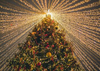 Weihnachtsbeleuchtung in Wilmington, Delaware