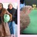 Bewertung der Coach Kisslock Rahmentasche mit Fotos