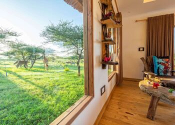 Serval Wildlife: Das außergewöhnlichste Safaripark-Abenteuer – kommen Sie näher, als Sie es sich jemals vorgestellt haben