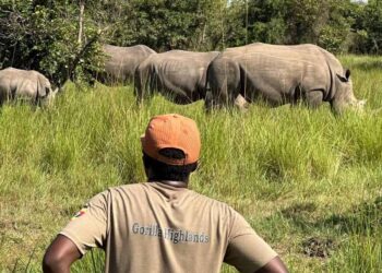 Reiseroute des Kongo-Nil-Trails: Eine 19-tägige Reise durch Ruanda, Kongo und Uganda