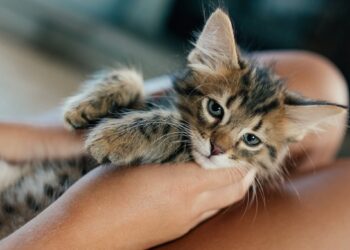 Habt ein gemütliches Wochenende. | Tasse Jo