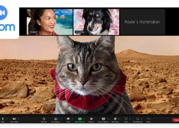 Sundays With Tabs the Cat, Make-up- und Magnificence-Weblog Mascot, Bd. 878