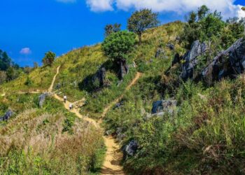 5 halbtägige Wanderungen mit toller Aussicht (perfekt für die Burnout-Woche)