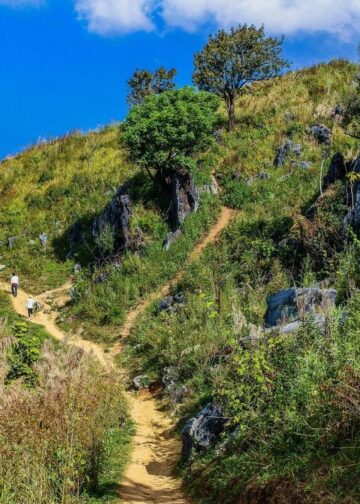 5 halbtägige Wanderungen mit toller Aussicht (perfekt für die Burnout-Woche)
