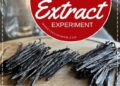 Mein hausgemachtes Vanilleextrakt-Experiment