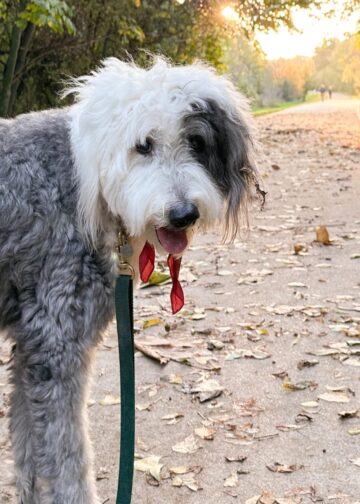 13 Leser teilen ihre Lieblingswanderwege