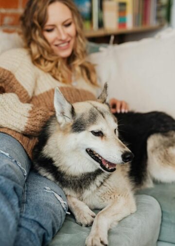 So halten Sie Ihr Zuhause das ganze Jahr über komfortabel und frei von Schädlingen