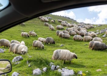 Habt ein erholsames Wochenende. | Tasse Jo