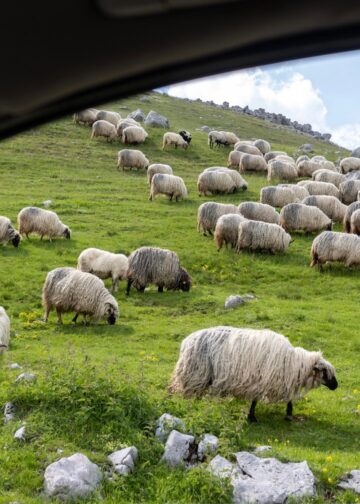 Habt ein erholsames Wochenende. | Tasse Jo