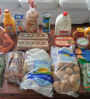 Brigettes 89-Greenback-Lebensmitteleinkaufsausflug und wöchentlicher Menüplan für 4 Personen!