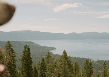 Ich wünsche Ihnen ein süßes Wochenende. | Tasse Jo