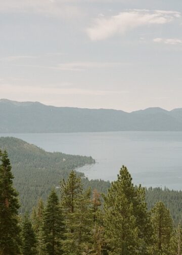 Ich wünsche Ihnen ein süßes Wochenende. | Tasse Jo
