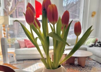 Vier lustige Dinge | Tasse Jo