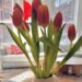 Vier lustige Dinge | Tasse Jo