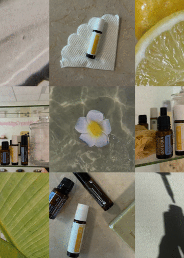 Der ultimative Leitfaden für ätherische Öle: Alltagsanwendungen, die Sie ausprobieren sollten