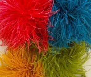 Schutz Ihrer Web site – BigScoots