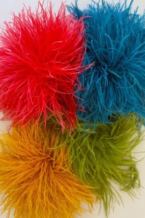 Schutz Ihrer Web site – BigScoots