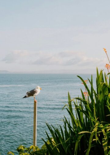 Ich wünsche Ihnen ein schönes Wochenende. | Tasse Jo