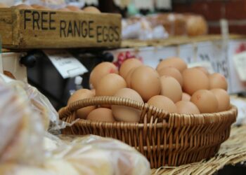 Werden Eier schlecht? Haltbarkeitsdauer und Kartondaten erklärt