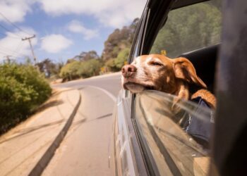 Habt ein erholsames Wochenende. | Tasse Jo