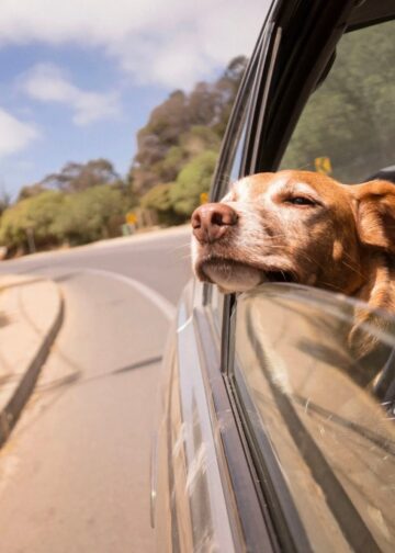 Habt ein erholsames Wochenende. | Tasse Jo