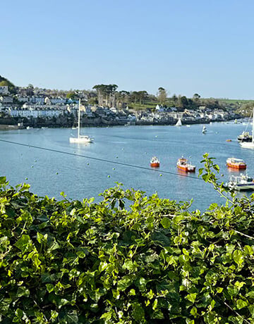 Ich wünsche Ihnen ein schönes Wochenende. | Tasse Jo