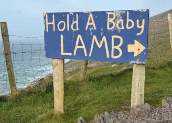 Erzähl mir etwas Schönes. | Tasse Jo