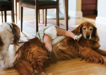 Alles, was Sie tun, ist intestine.