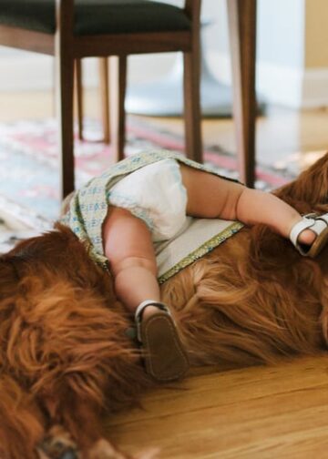 Alles, was Sie tun, ist intestine.