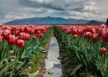 Schöne Wochenende. | Tasse Jo