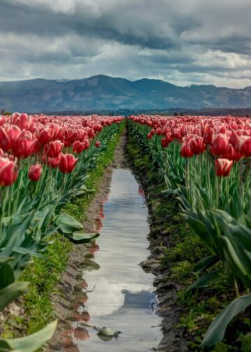 Schöne Wochenende. | Tasse Jo