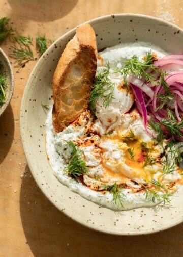 19 kohlenhydratarme, proteinreiche vegetarische Rezepte