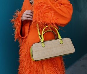 Schutz Ihrer Web site – BigScoots